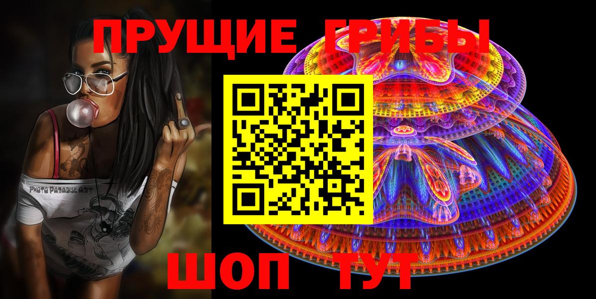 Галлюциногенные грибы Psilocybine cubensis Норильск