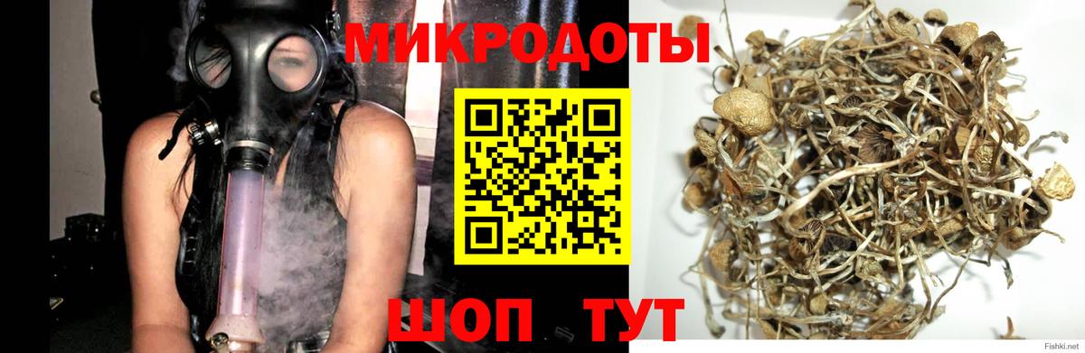 Норильск  Галлюциногенные грибы мицелий  Вход с VPN 